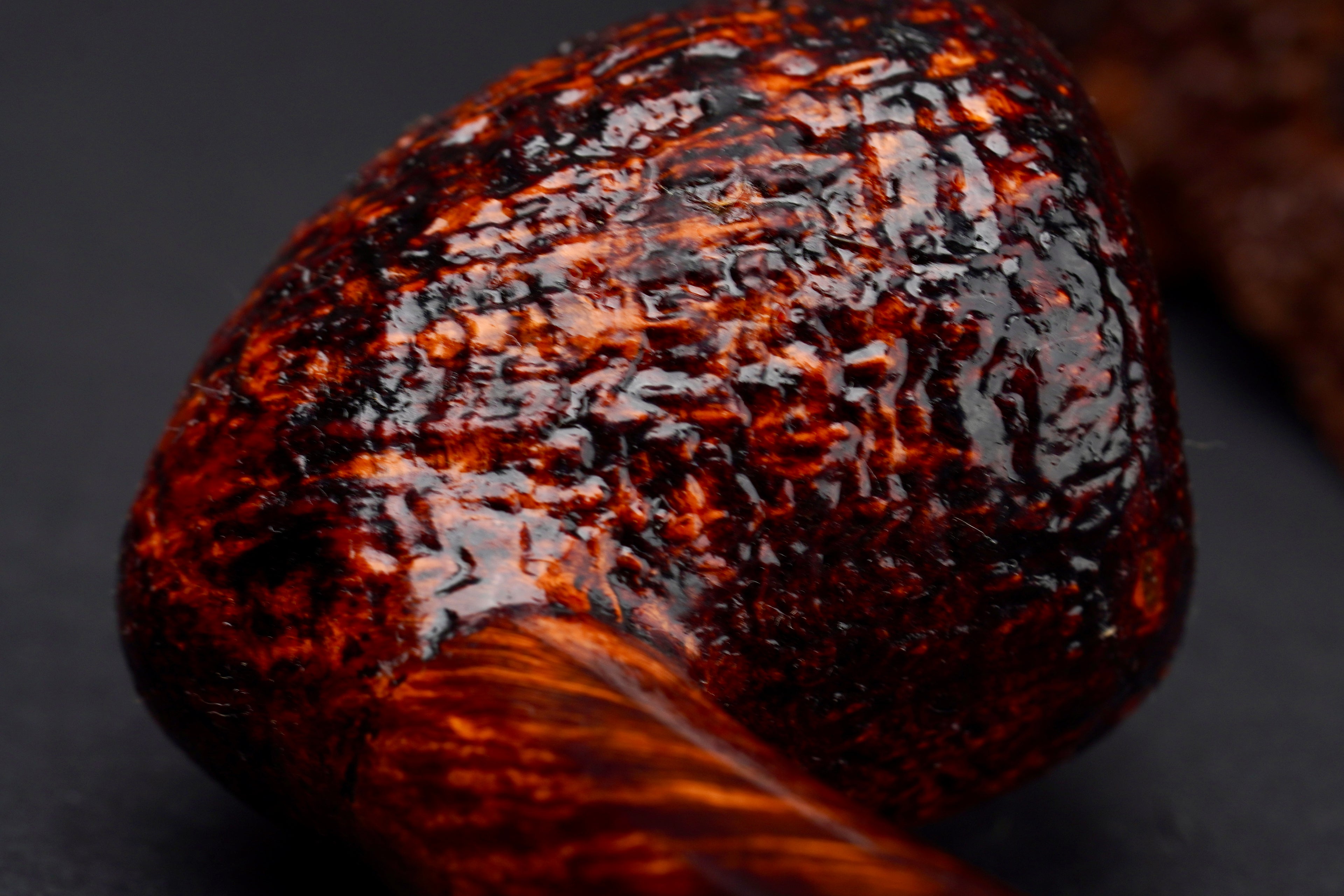 Acorn with Mammoth